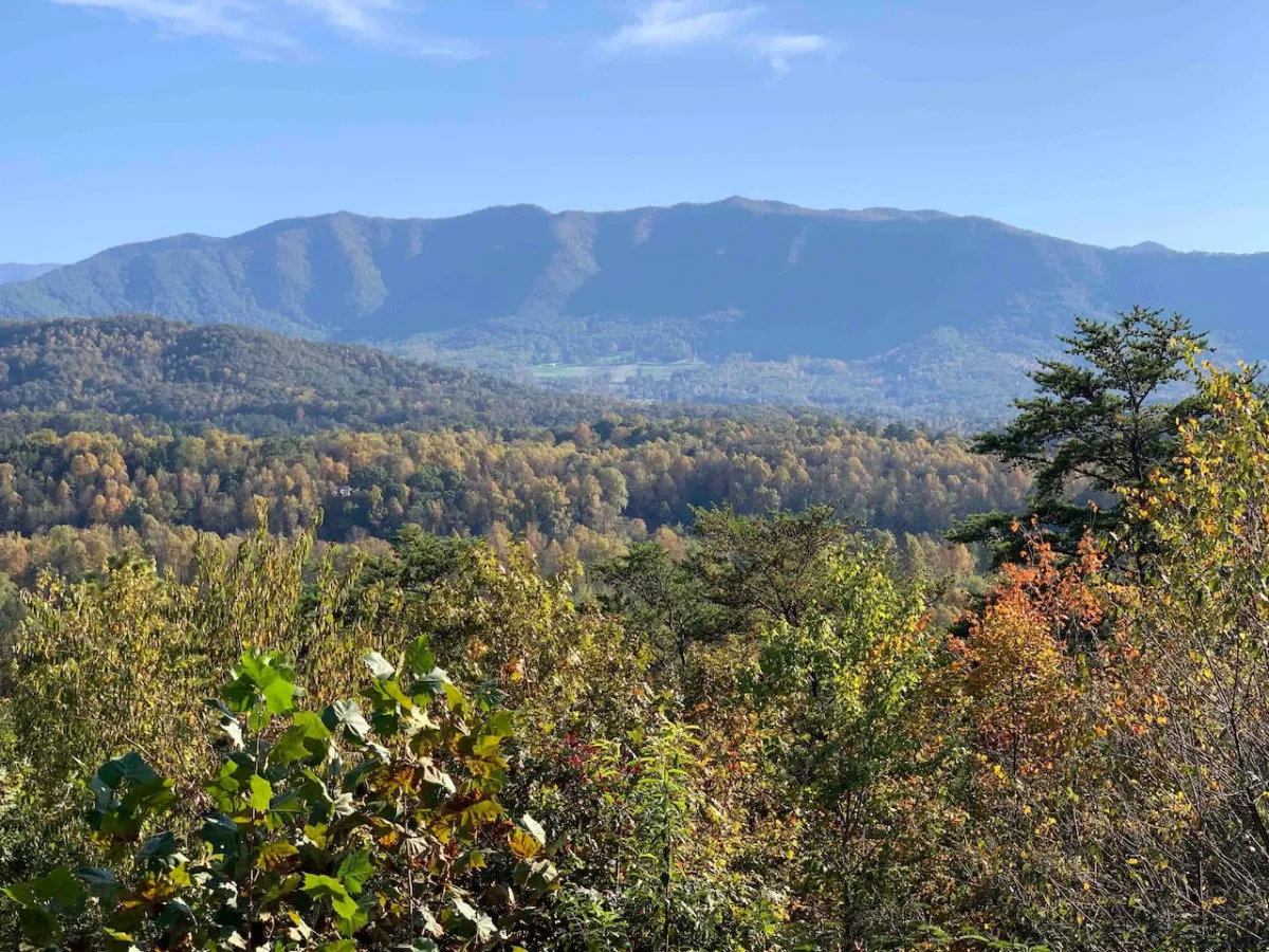This image presents a sweeping view of the Smoky Mountains, covered in vibrant fall foliage with trees stretching towards the horizon. The vantage point suggests endless hiking and exploration opportunities, while the peaceful scene invites nature photography and bird watching.