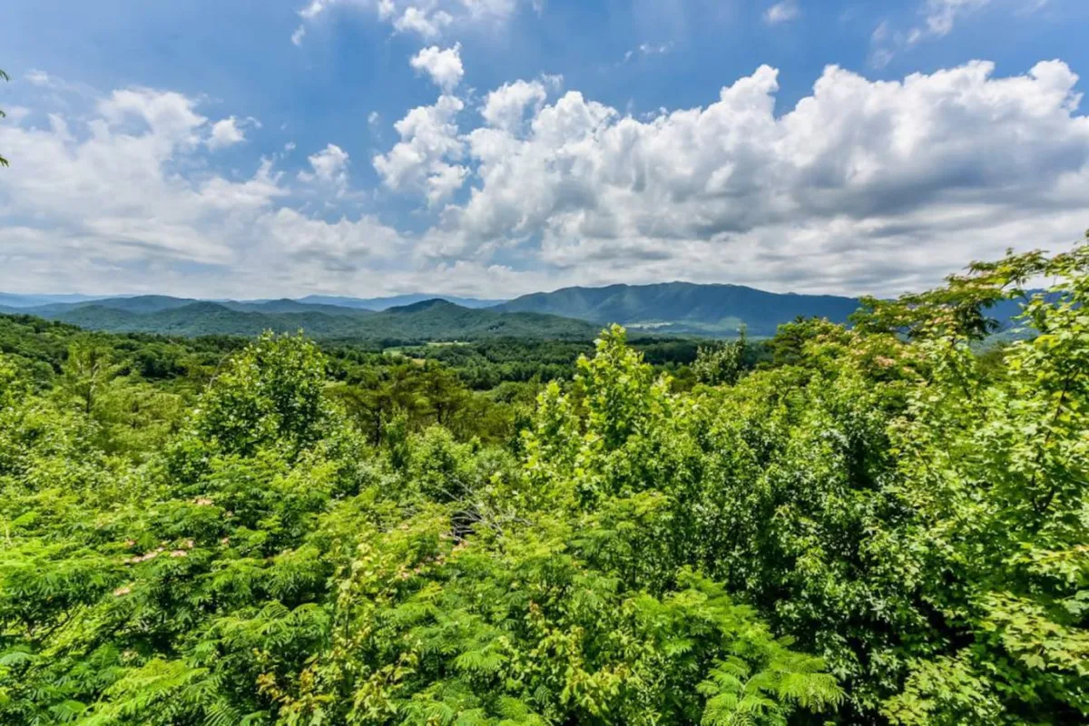 A sweeping exterior view of lush greenery and distant mountains under a dramatic sky. Trails and open areas appear inviting for walks, exploration, or play with pets. The landscape captures both the tranquility and adventure of the region.